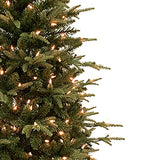 Kurt Adler 6.5' Pre-Lit Clear Incandescent Grand Fir Tree